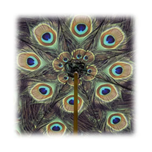 Pasotti Ombrelli 1956 - 189 Hawaii P5 - Black Umbrella with Peacock Interior - Luxury Artisan High Quality Umbrella - Avvenice
