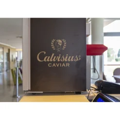 Pisa Tower Plaza - Exclusive Pisa - Pisa Tower View - 5 Stars - 4 Days 3 Nights - Avvenice