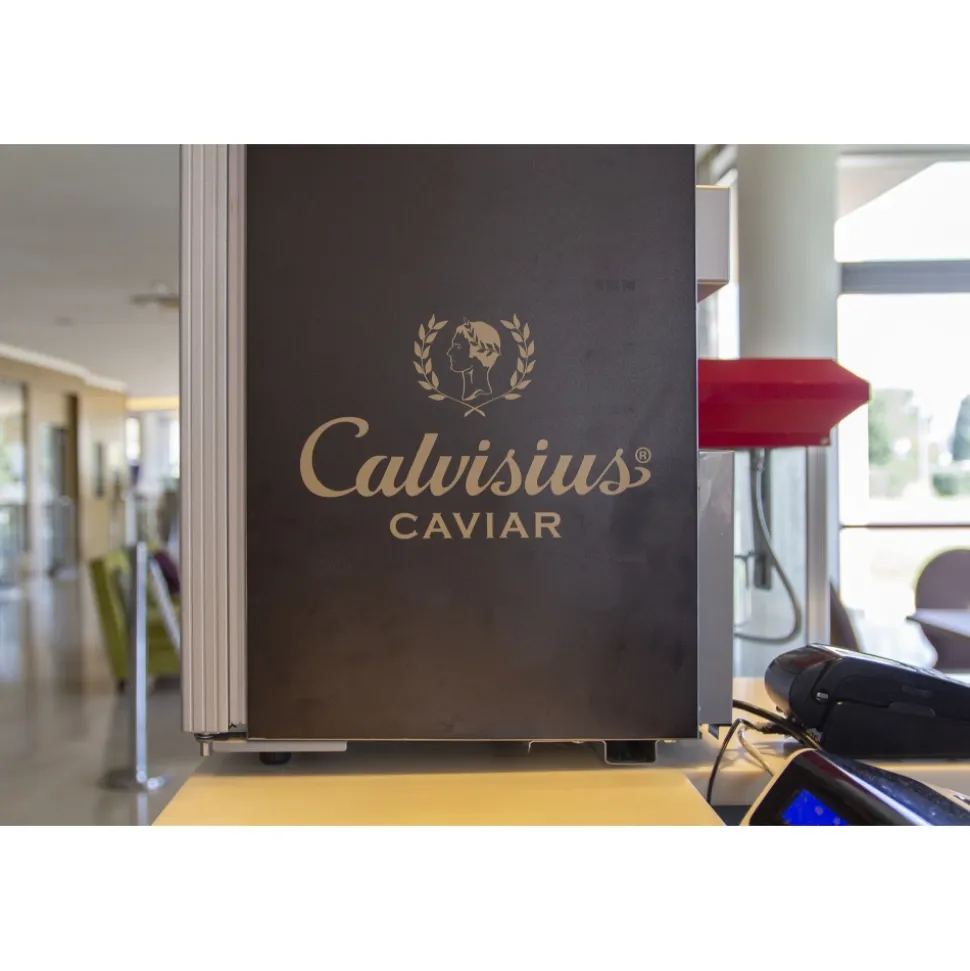 Pisa Tower Plaza - Exclusive Pisa - Pisa Tower View - 5 Stars - 4 Days 3 Nights - Avvenice