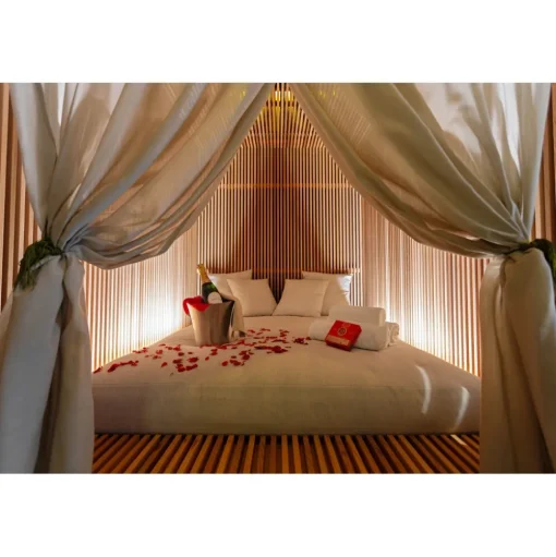 Posia - Luxury Retreat & Spa - Cheek to Cheek - Ayurveda Spa - Aura Restaurant - Infinity Pool - 2 Days 1 Night - Avvenice