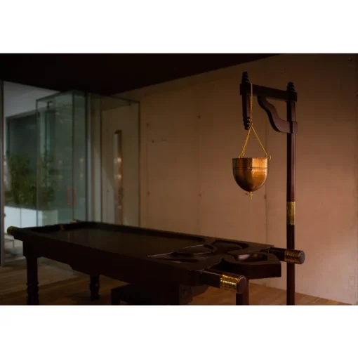 Posia - Luxury Retreat & Spa - Cheek to Cheek - Ayurveda Spa - Aura Restaurant - Infinity Pool - 2 Days 1 Night - Avvenice