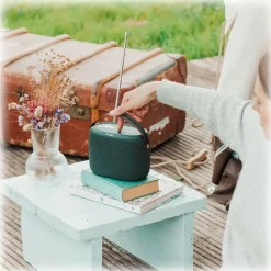 Pure - Woodland Explorer Pack - Light Brown - Mobile Speaker - High Quality Digital Radio - Avvenice