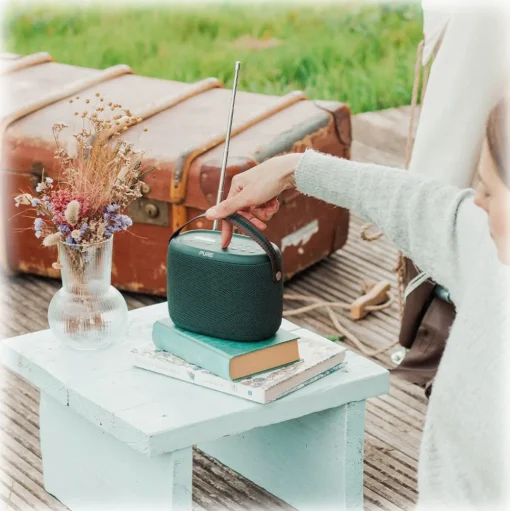 Pure - Woodland Explorer Pack - Light Brown - Mobile Speaker - High Quality Digital Radio - Avvenice