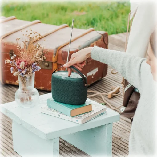 Pure - Woodland Waterproof (IP67) Outdoor Speaker with Bluetooth and FM/DAB+Radio - High Quality Digital Radio - Avvenice