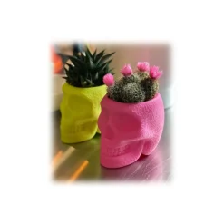 Qeeboo - Mexico XS - Light Pink - Master Pack x 3 - Qeeboo by Studio Job - Furniture - Home - Avvenice