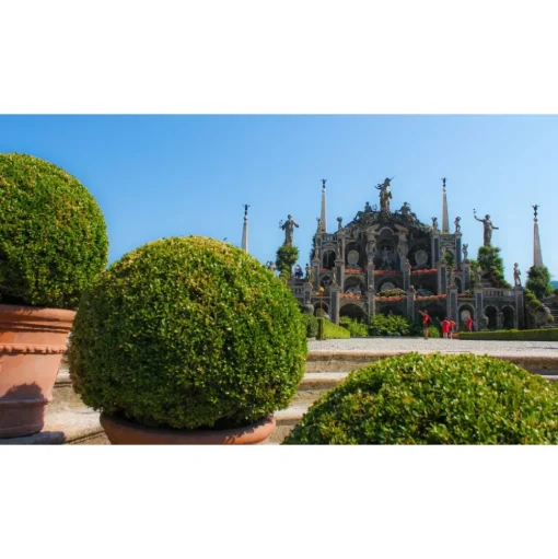 Rent Offshore Lago Maggiore - South Cruise - Exclusive Luxury Private Tour - Yacht - Panoramic Cruise - Avvenice