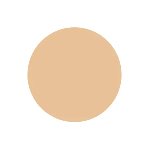 Repêchage - Perfect Skin Perfecting Concealer - Light - Make Up - Professional Cosmetics - Avvenice