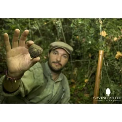 Savini Tartufi - Truffle Discovery - Truffle Experience - Guided Tour, Truffle Hunt and Tasting - Daily - Avvenice