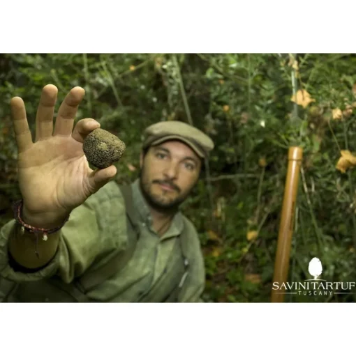 Savini Tartufi - Truffle Discovery - Truffle Experience - Guided Tour, Truffle Hunt and Tasting - Daily - Avvenice