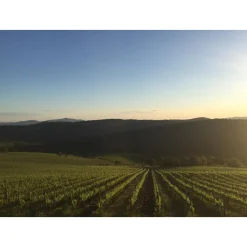 Tenuta l'Impostino - Maremma - 3 Days 2 Nights - Avvenice
