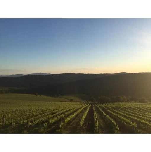 Tenuta l'Impostino - Maremma - 3 Days 2 Nights - Avvenice