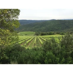 Tenuta l'Impostino - Maremma - 3 Days 2 Nights - Avvenice
