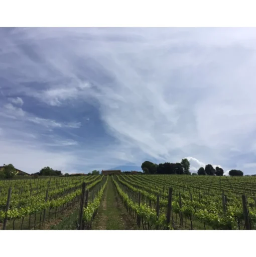 Tenuta l'Impostino - Maremma - 3 Days 2 Nights - Avvenice