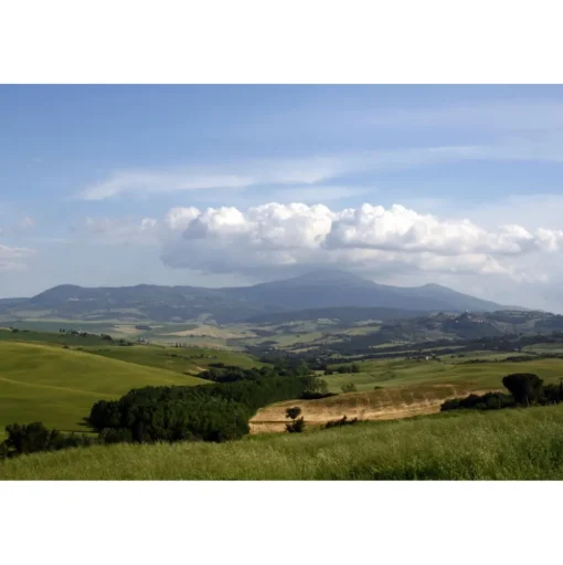 Tenuta l'Impostino - Maremma - 3 Days 2 Nights - Avvenice