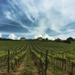 Tenuta l'Impostino - Maremma - 3 Days 2 Nights - Avvenice