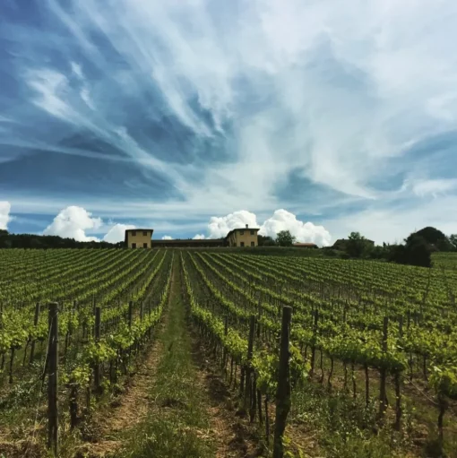 Tenuta l'Impostino - Maremma - 3 Days 2 Nights - Avvenice