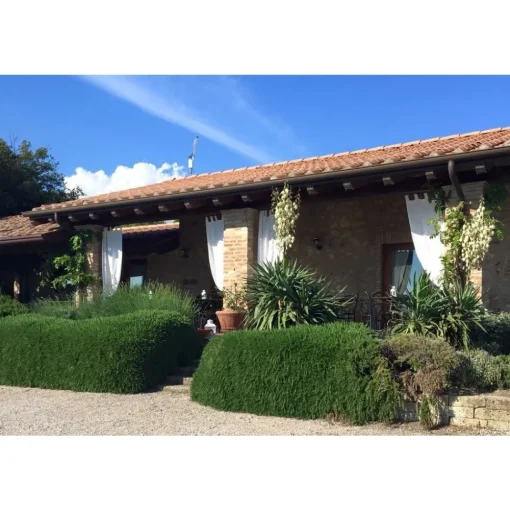Tenuta l'Impostino - Maremma - 3 Days 2 Nights - Avvenice