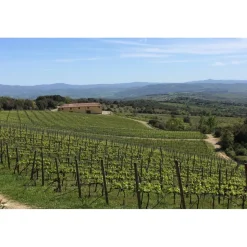 Tenuta l'Impostino - Maremma - 3 Days 2 Nights - Avvenice