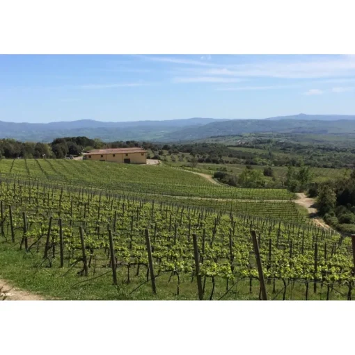 Tenuta l'Impostino - Maremma - 3 Days 2 Nights - Avvenice
