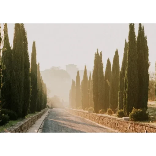 Villa Tolomei - Ala Camelia - 4 Days 3 Nights - Exclusive Luxury - Florence - Tuscany - Italy - Avvenice