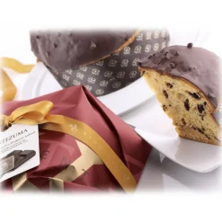 Vincente Delicacies - Panettone Covered with Milk Chocolate and Hazelnuts - Nucilla - Hand Wrapped Artisan - Avvenice