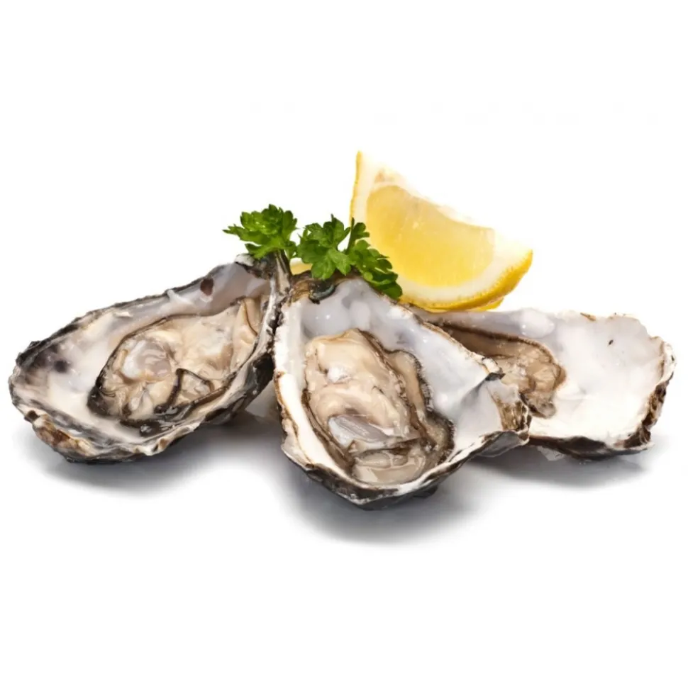 Wilde Wadoesters - Wild Oysters - 200 - Handpicked on the Wadden Sea - UNESCO World Heritage Site - Avvenice