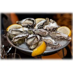 Wilde Wadoesters - Wild Oysters - 50 - Handpicked on the Wadden Sea - UNESCO World Heritage Site - Avvenice