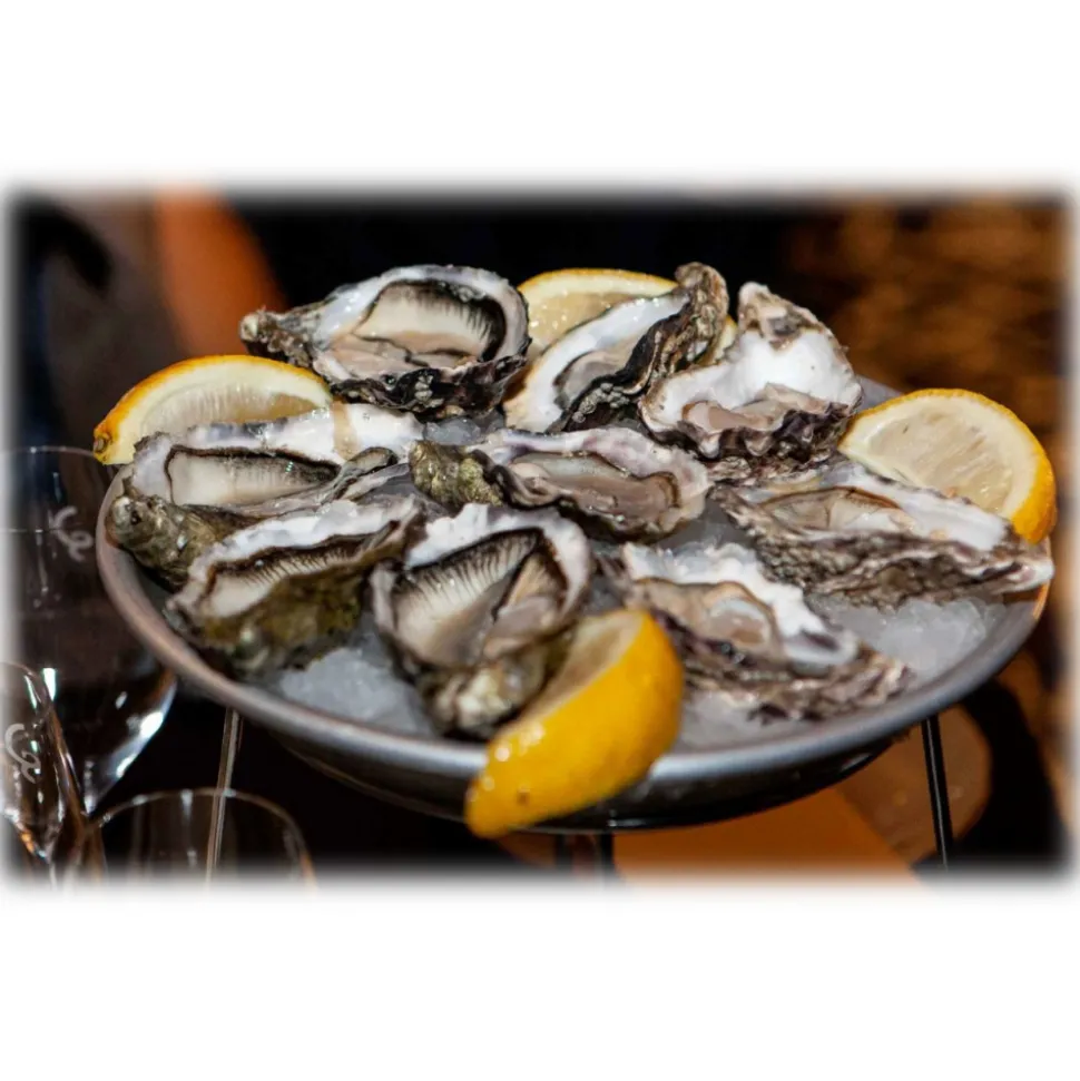 Wilde Wadoesters - Wild Oysters - 50 - Handpicked on the Wadden Sea - UNESCO World Heritage Site - Avvenice