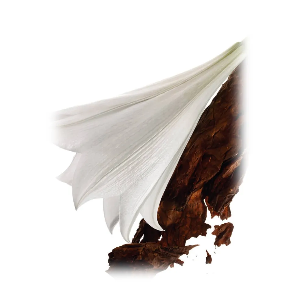 Yves Saint Laurent - Mon Paris Eau De Parfum - A New Feminine Fragrance, Inspired by Paris, The City of Love - Luxury - 50 ml - Avvenice