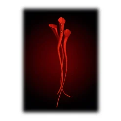 Yves Saint Laurent - Or Rouge Anti-Aging Serum - Powerful Anti-Aging - Skin Resurfacing Serum - Luxury - Avvenice