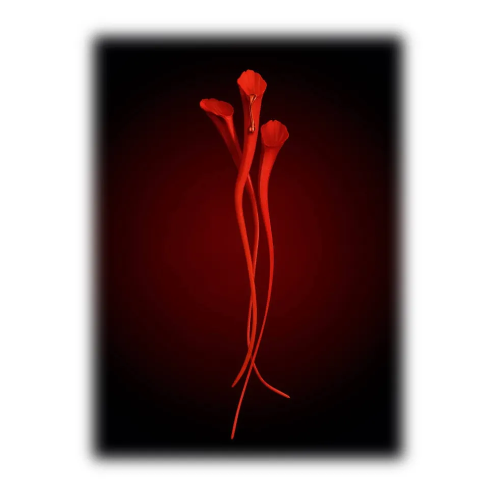 Yves Saint Laurent - Or Rouge Anti-Aging Serum - Powerful Anti-Aging - Skin Resurfacing Serum - Luxury - Avvenice